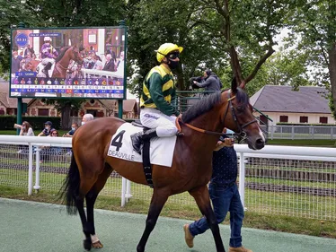 Les pronostics hippiques pour ce samedi 3 février